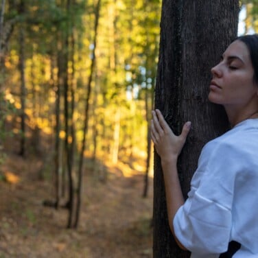 Tree-hugging nurtures a connection to nature, like the Stress Relief Programme at Euphoria Retreat.