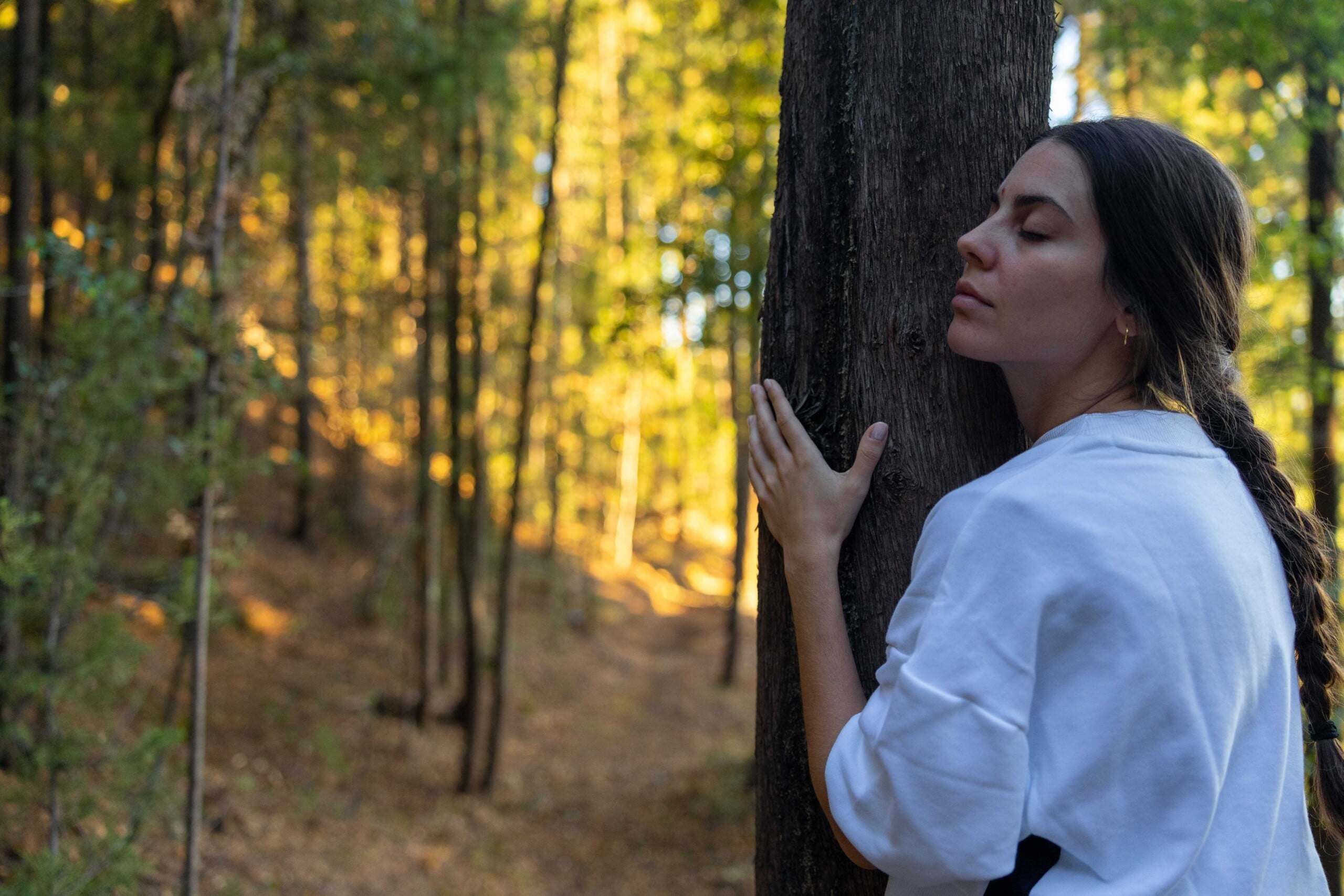 Tree-hugging nurtures a connection to nature, like the Stress Relief Programme at Euphoria Retreat.