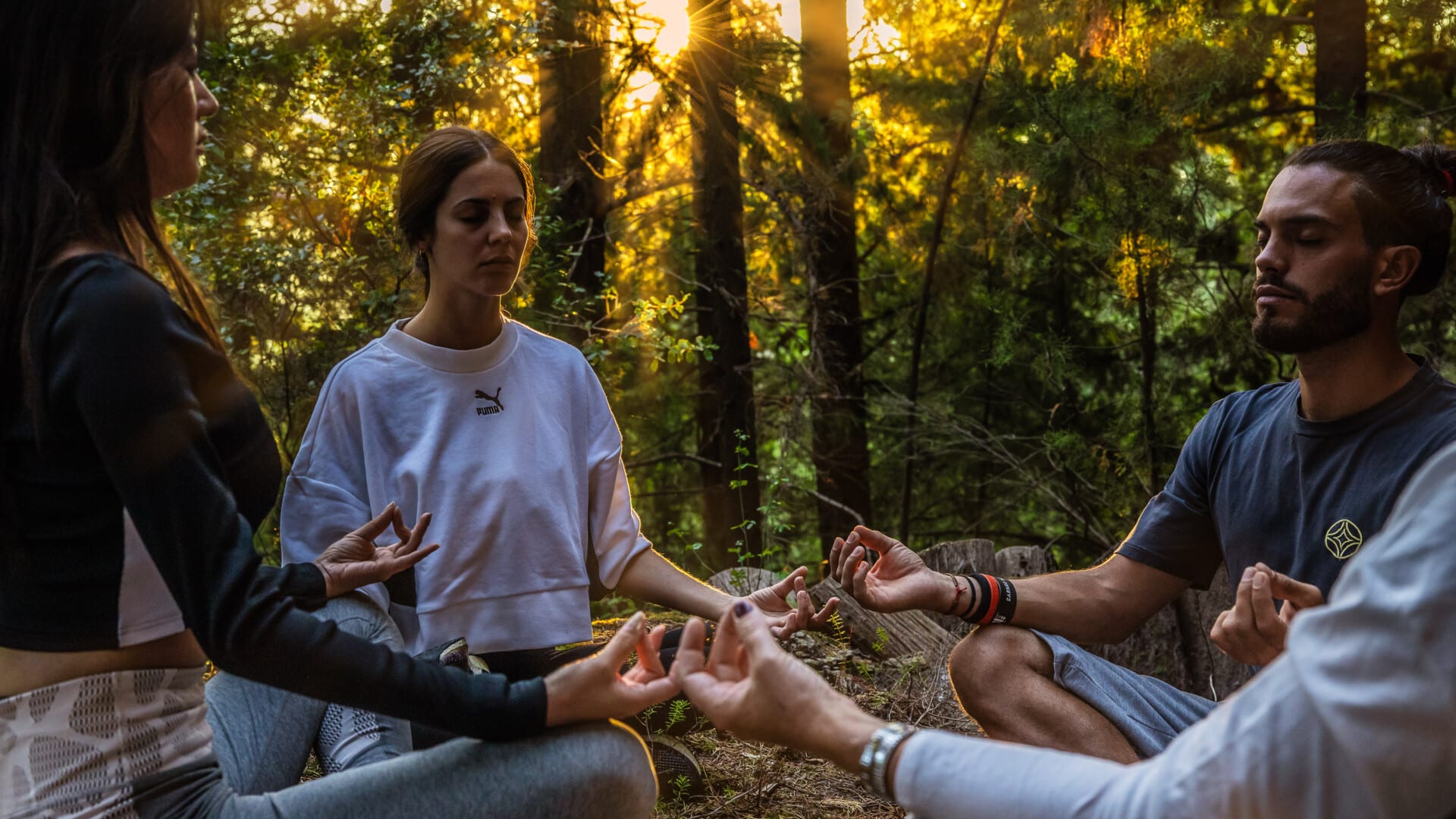 Euphoria Retreat