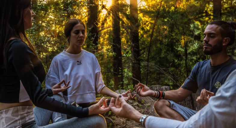 Euphoria Retreat