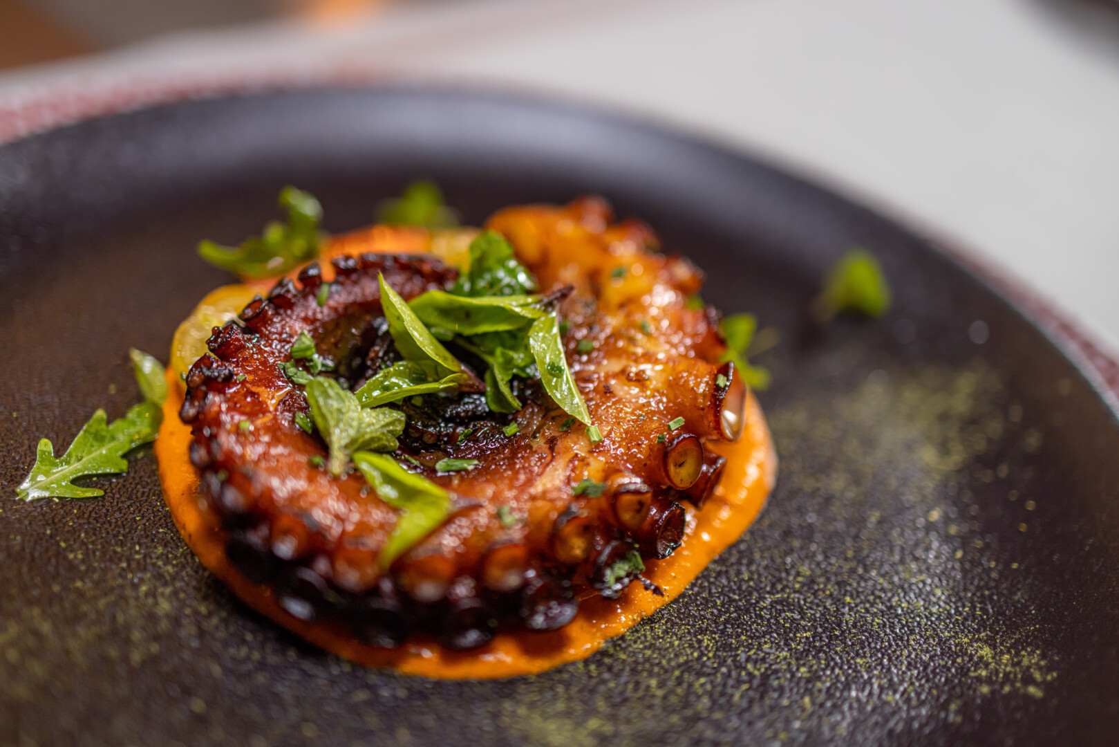 Romesco-Octopus