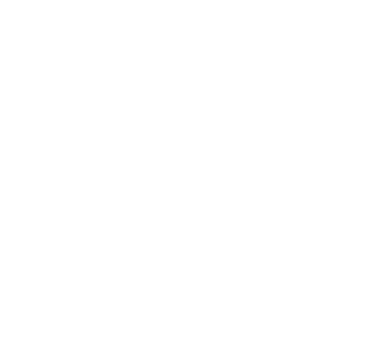 Euphoria Festival Logo