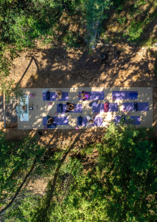 FestivalPrint©VisualStoryteller-371