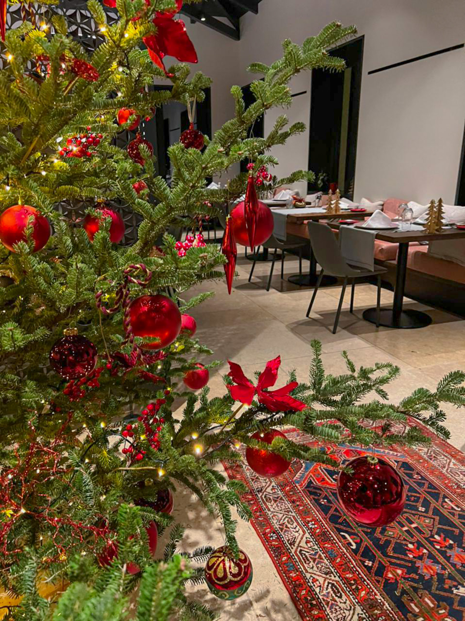 PHOTO-2021-12-05-19-05-31