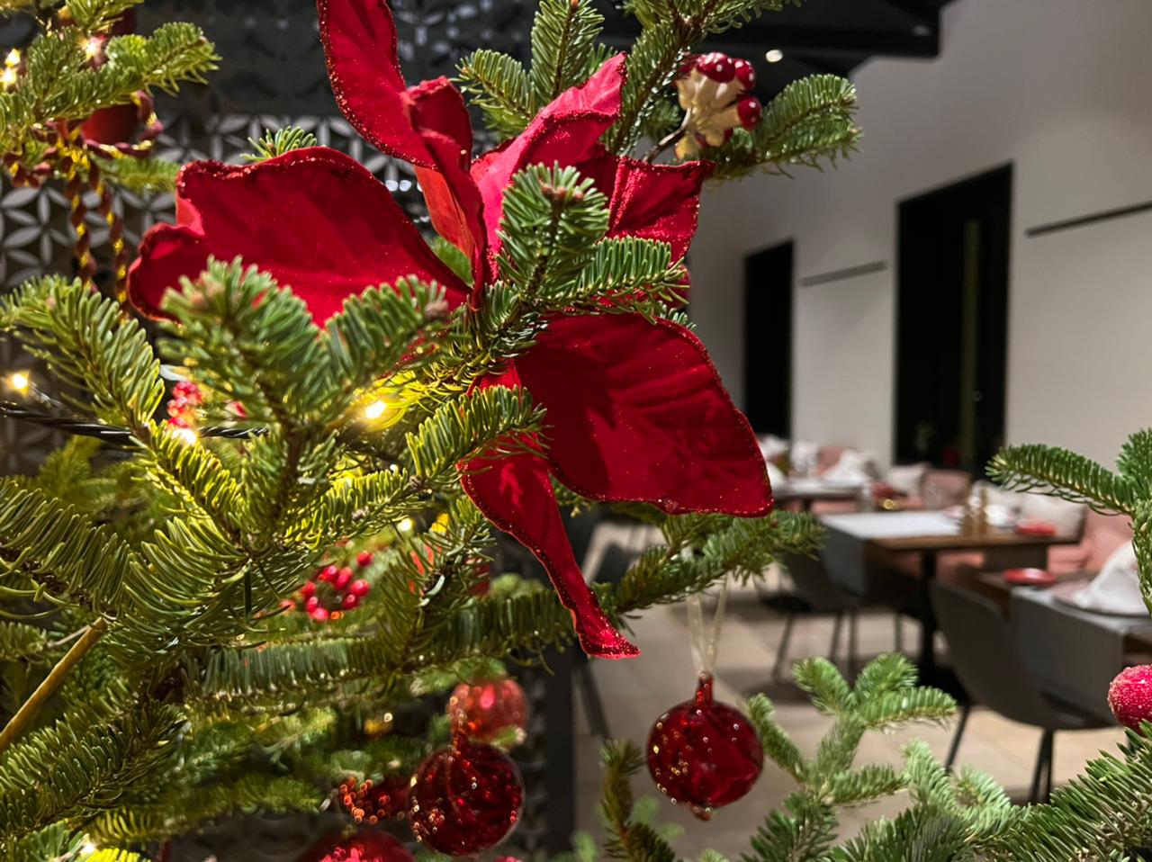 PHOTO-2021-12-05-19-05-33