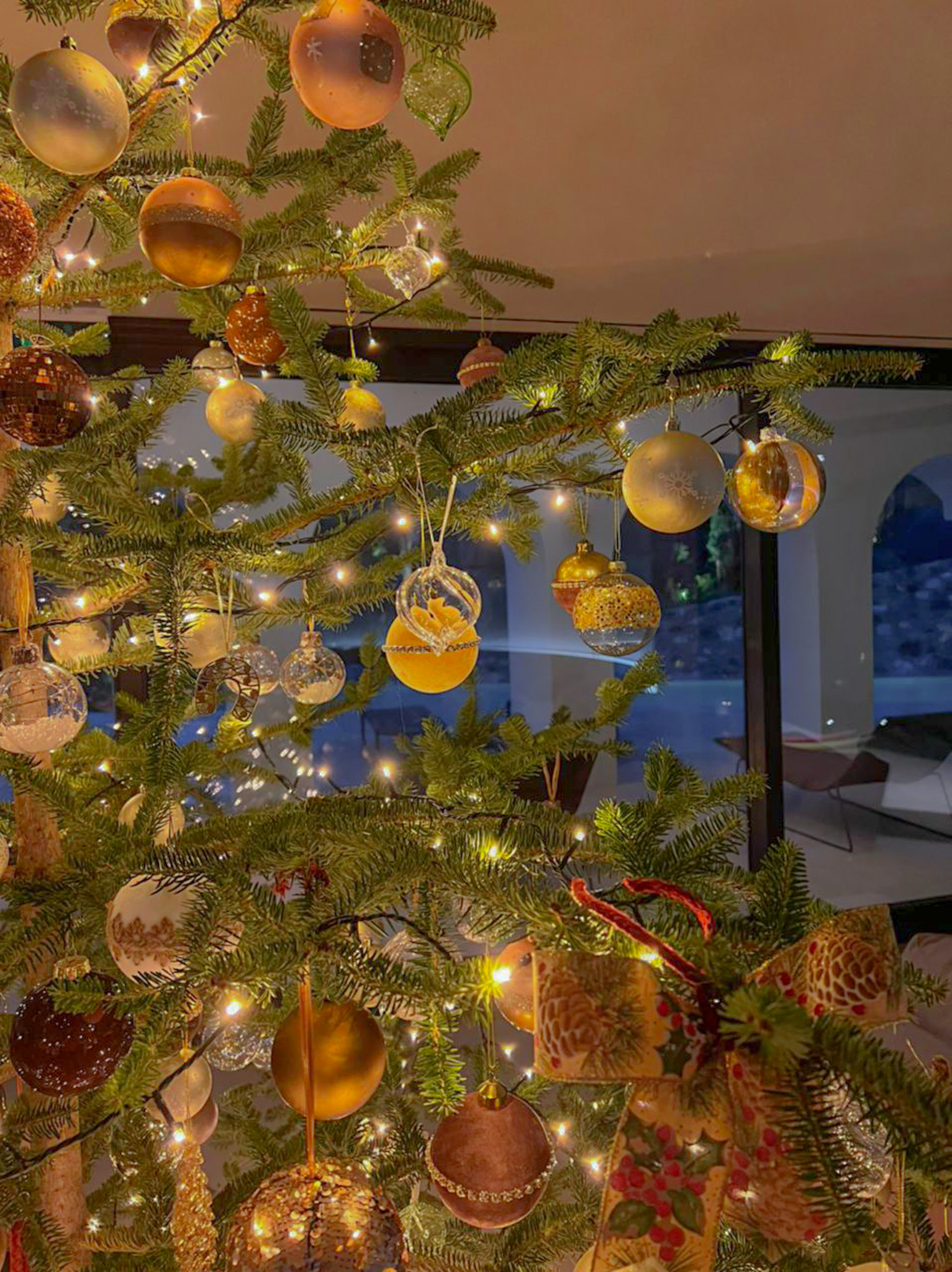 PHOTO-2021-12-06-22-56-25 2