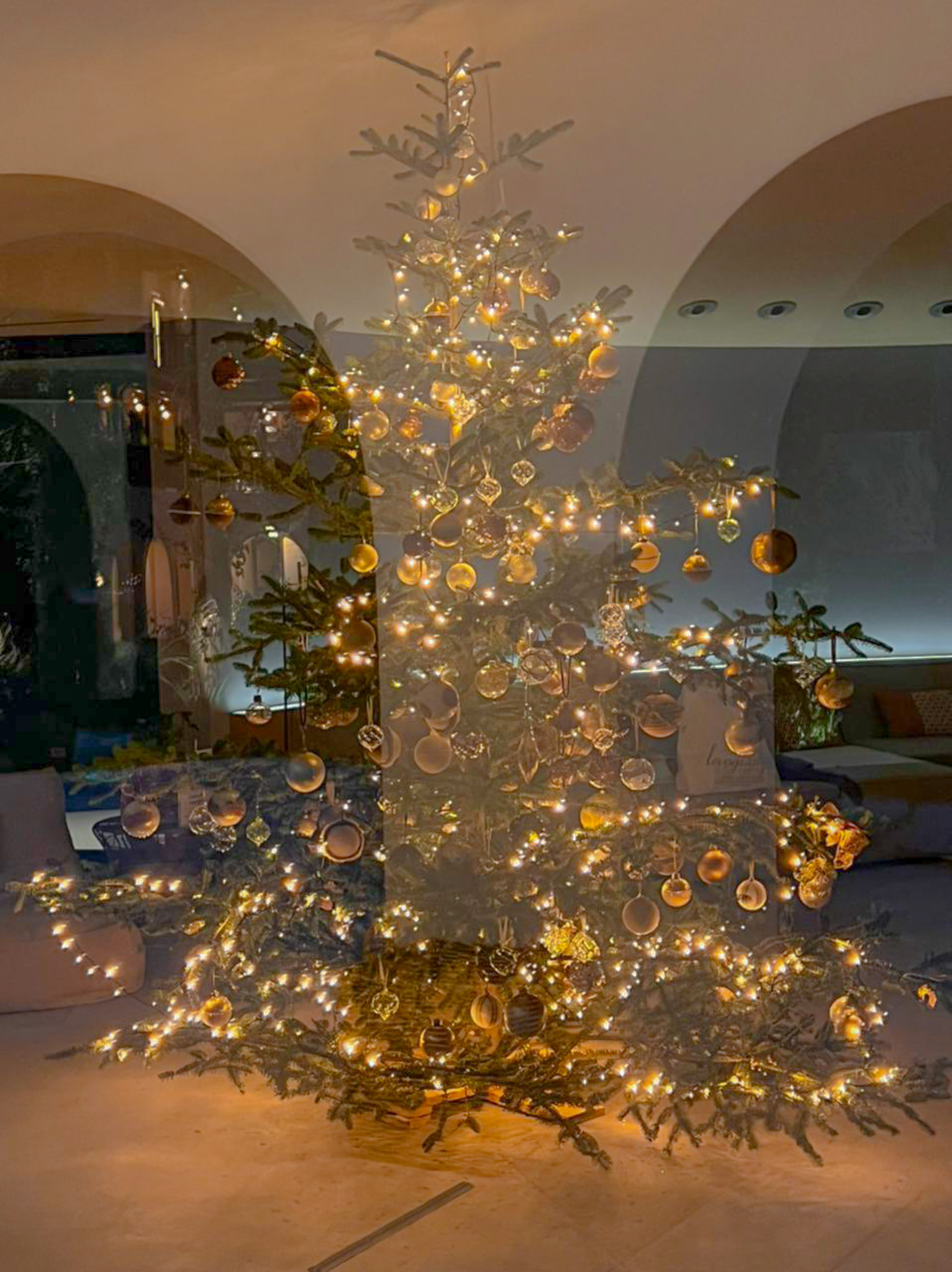 PHOTO-2021-12-06-22-56-34