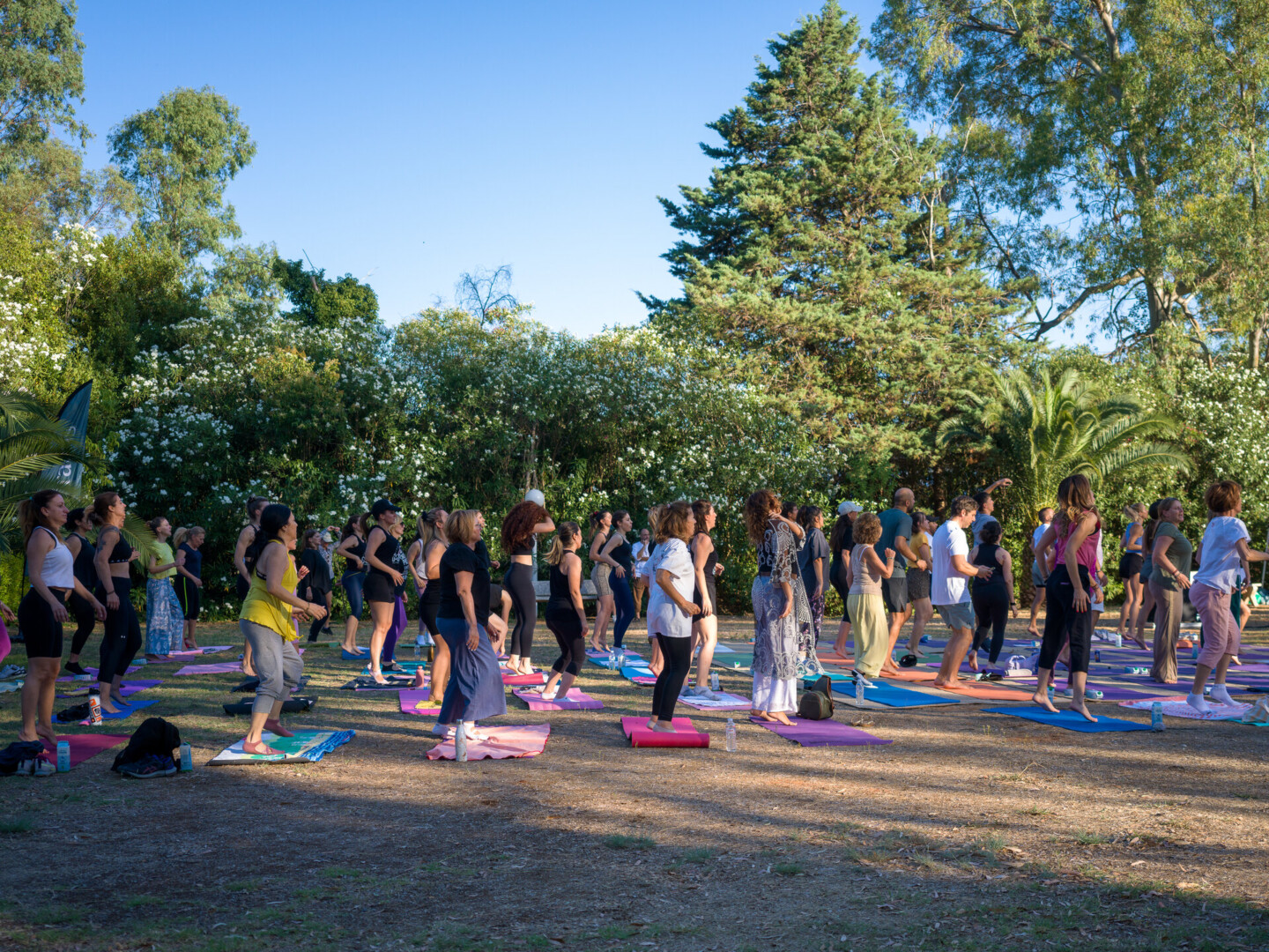 FestivalPrint©VisualStoryteller-119