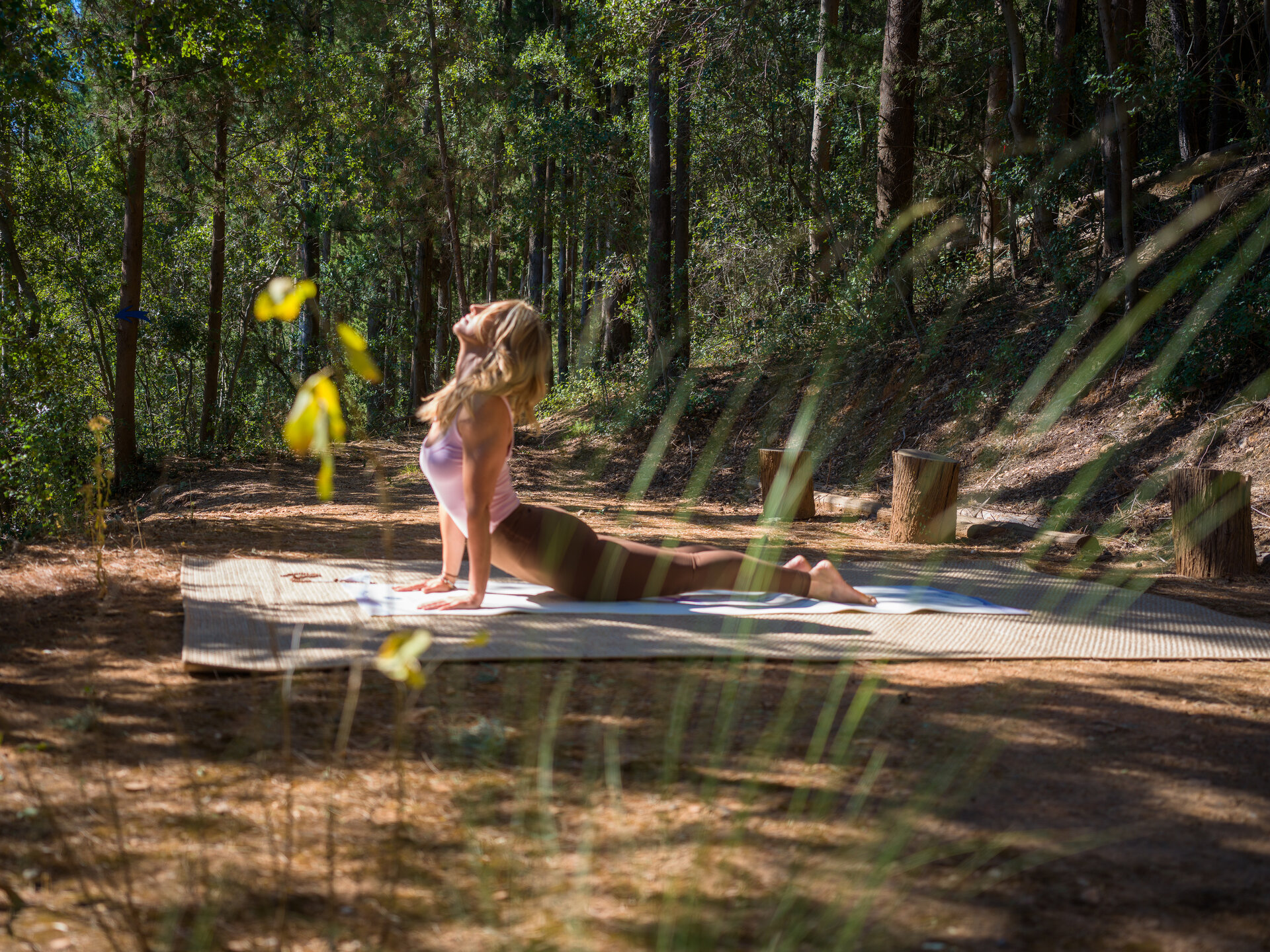 FestivalPrint©VisualStoryteller-402