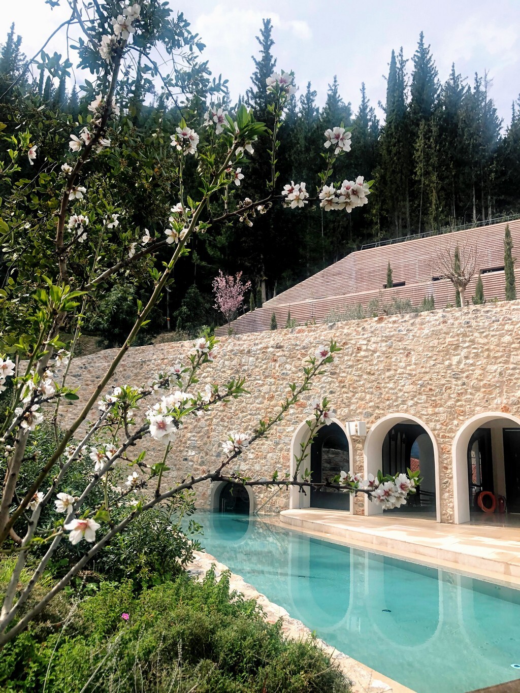 OUTDOOR POOL GARDEN 2